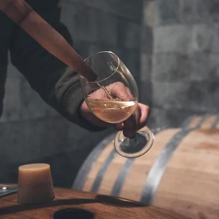 Au Coeur D'un Domaine Viticole *