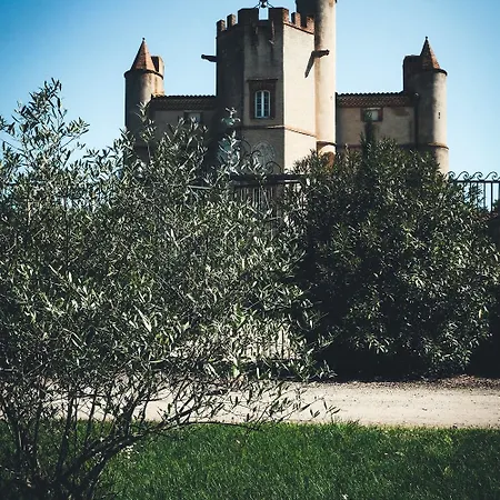 Au Coeur D'un Domaine Viticole * Beaumont-sur-Leze