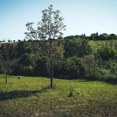 Au Coeur D'un Domaine Viticole Beaumont-sur-Leze